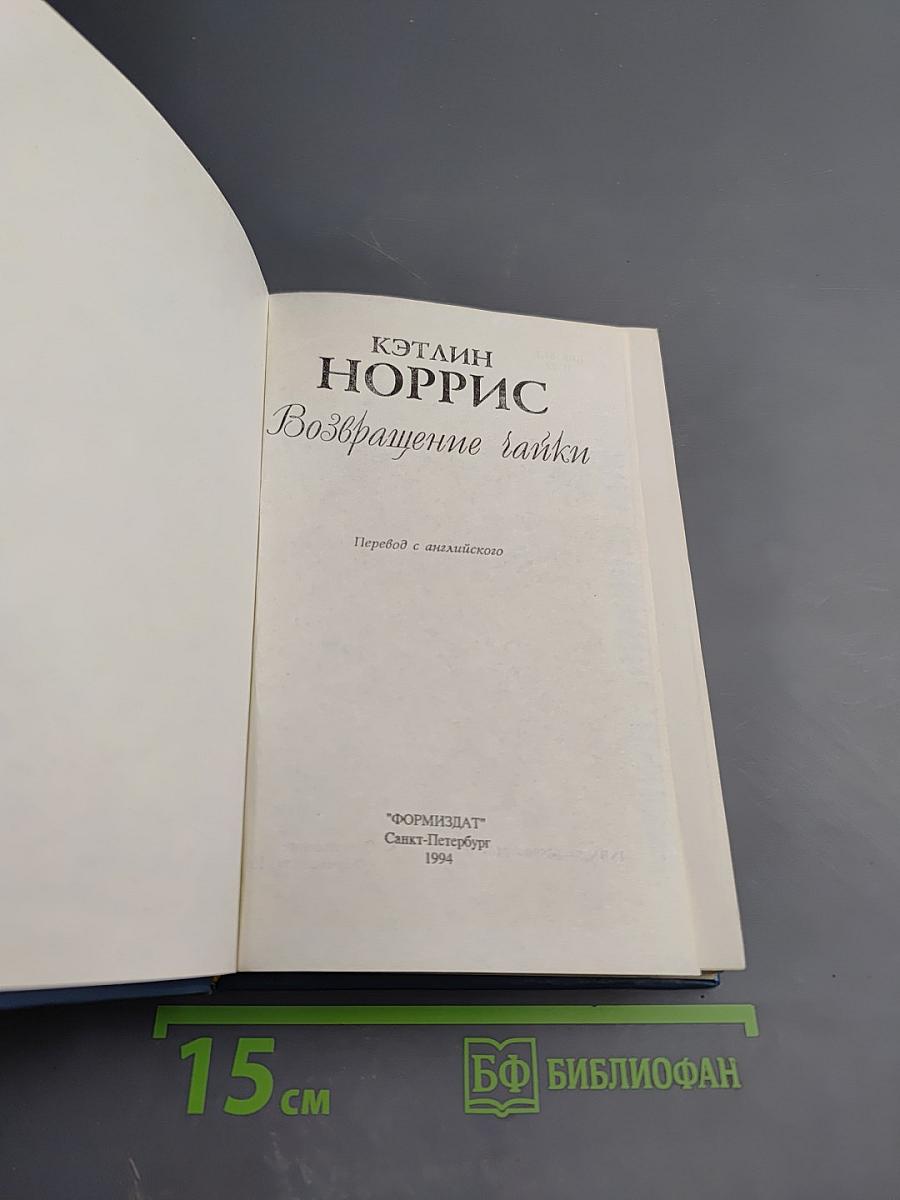 Возвращение чайки