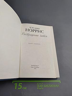 Возвращение чайки