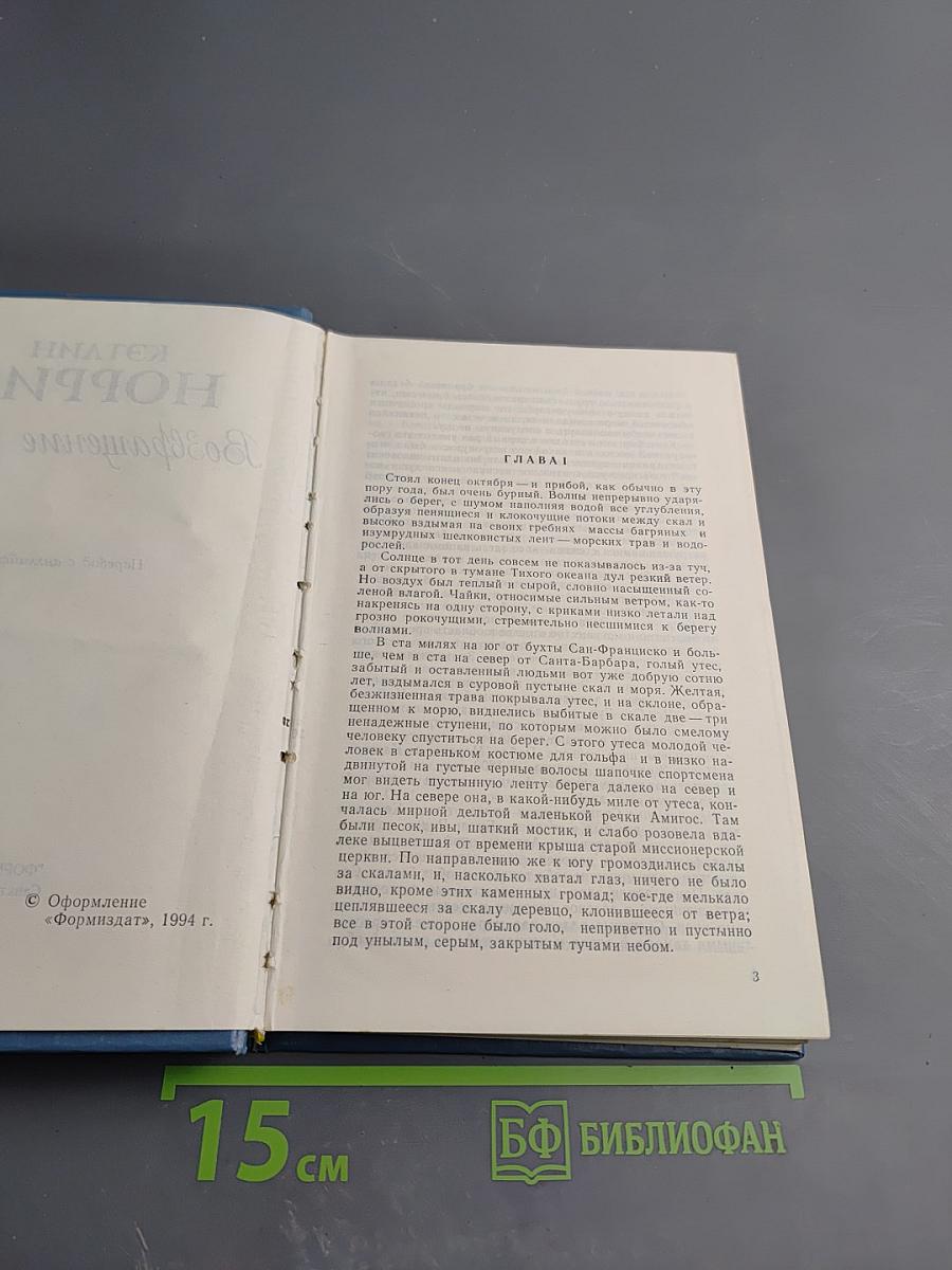 Возвращение чайки