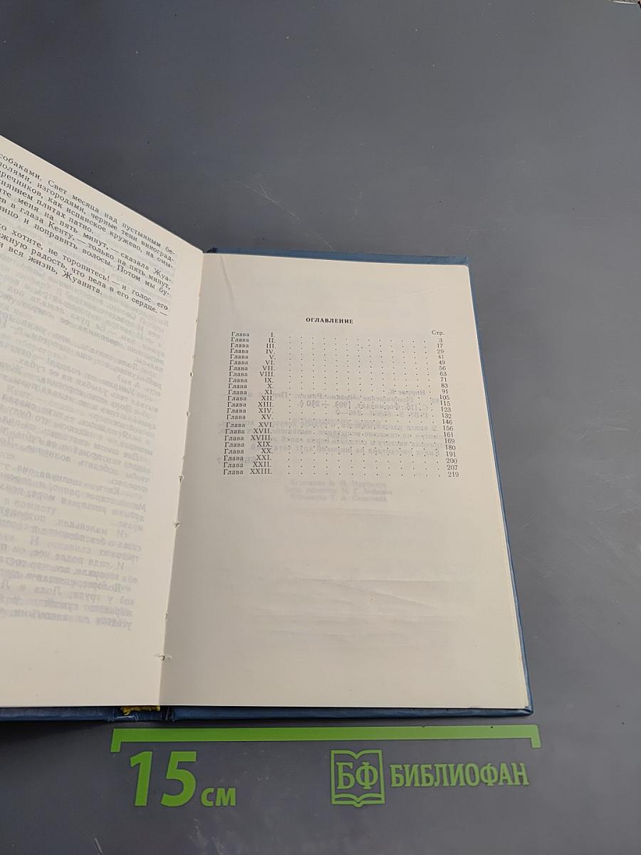 Возвращение чайки