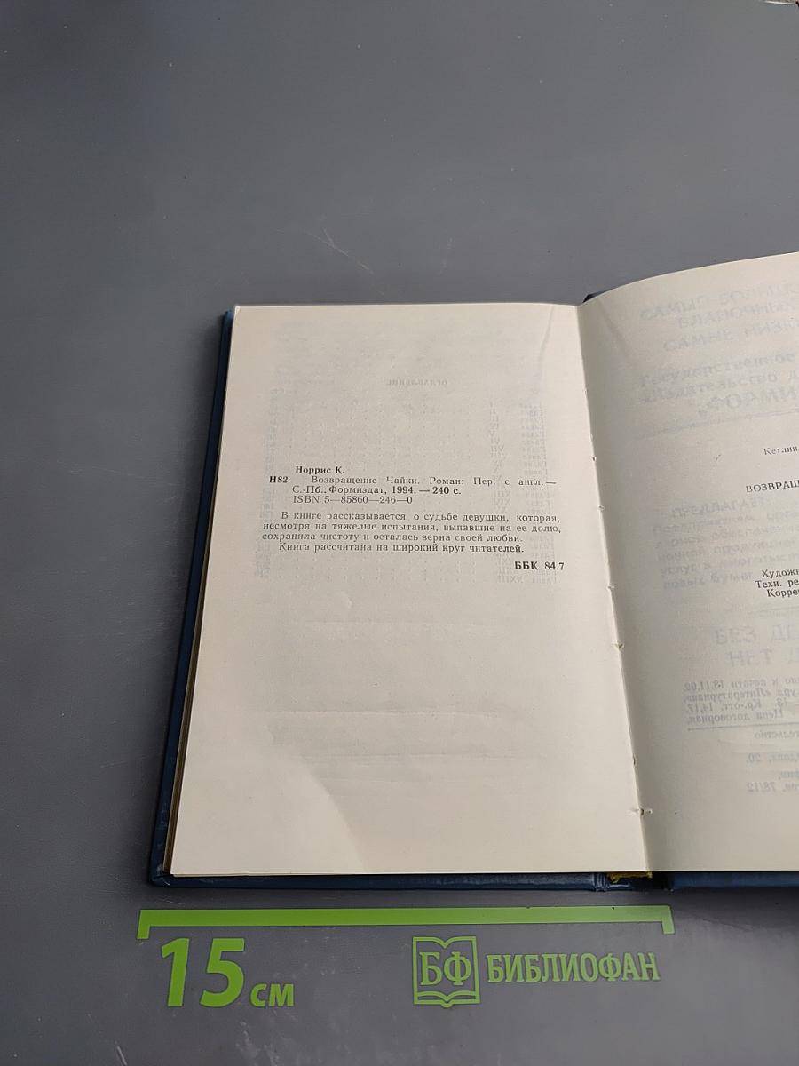 Возвращение чайки