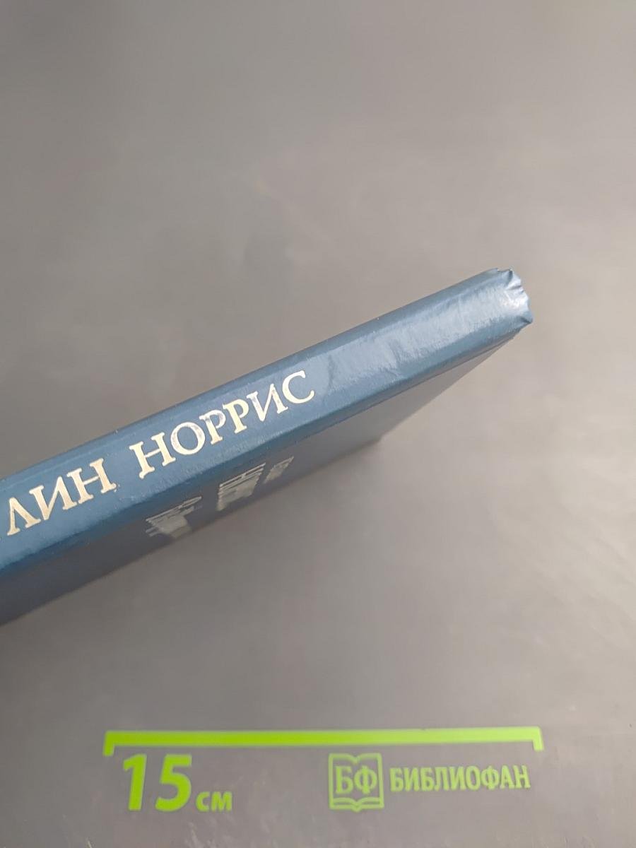 Возвращение чайки