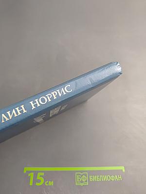 Возвращение чайки