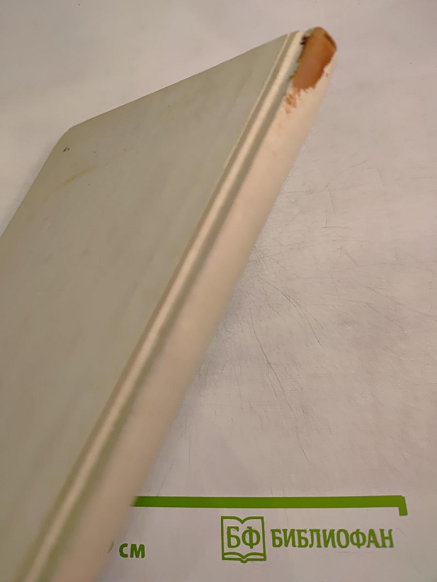 Будущее не придет само...: Духовная биография героического поколения в прозе 20-30-х годов