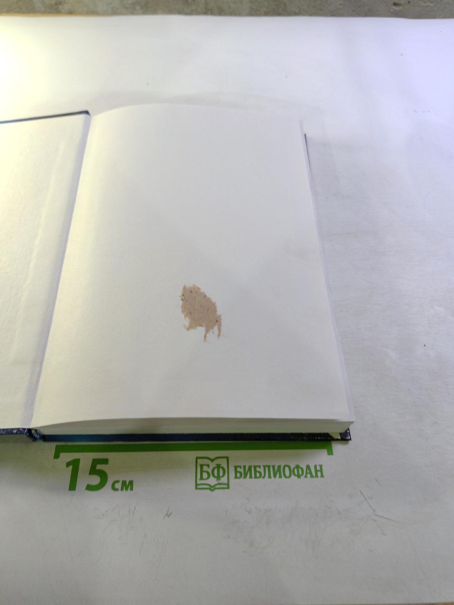 Эколого-экономические проблемы России и ее регионов