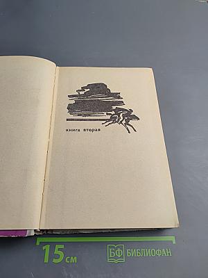 Хмельницкий. Книга вторая