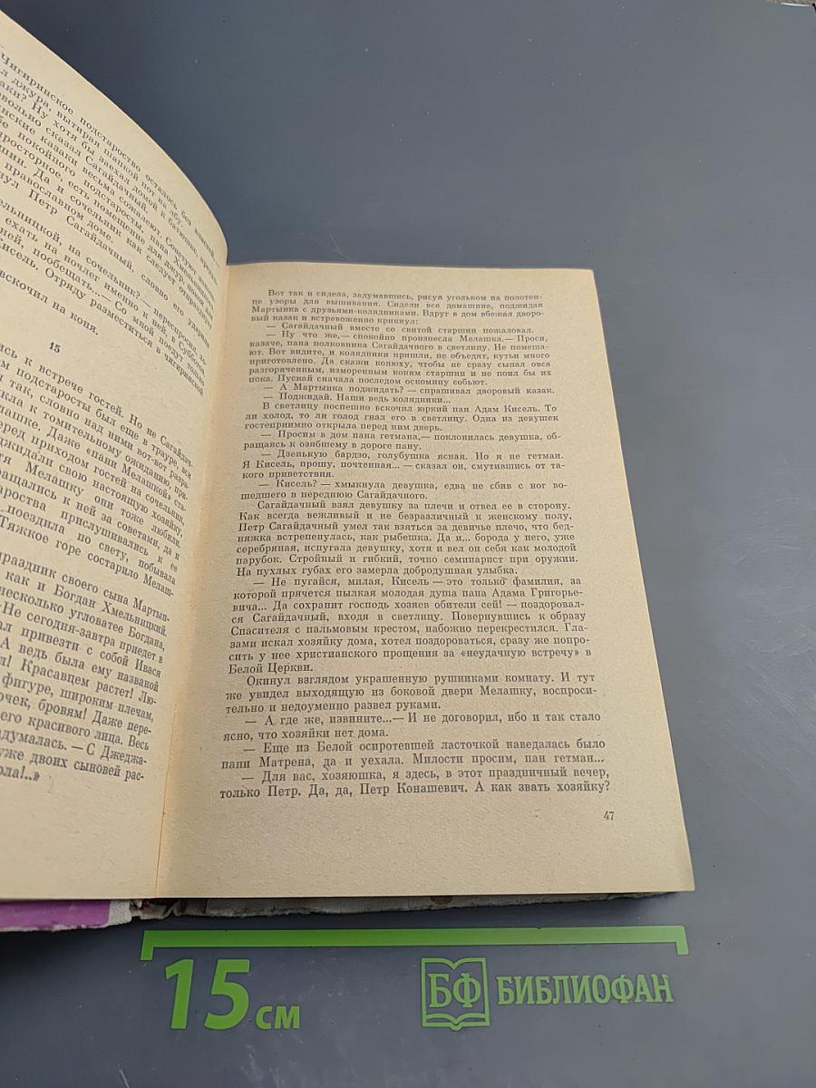 Хмельницкий. Книга вторая