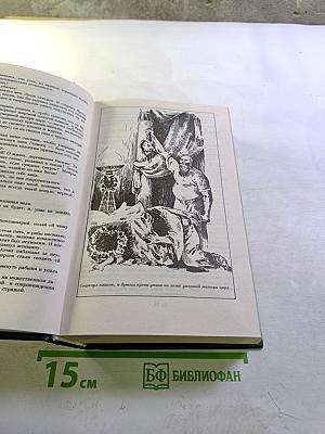 Аристоник. Приключения мальчика с собакой. Спартак