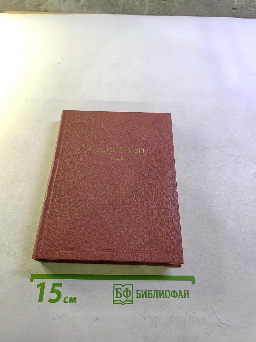 Собрание сочинений. Том III. Поэмы