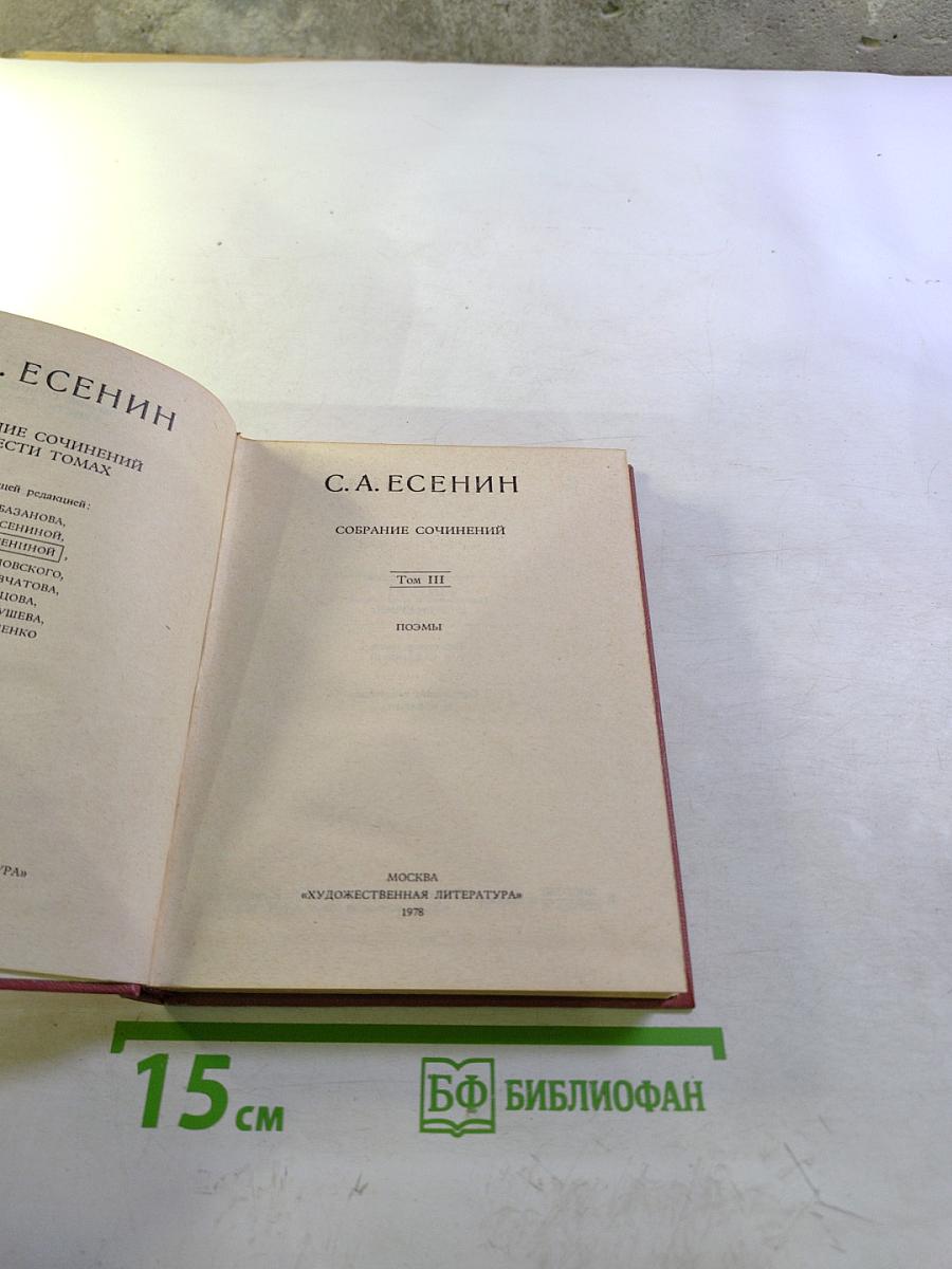 Собрание сочинений. Том III. Поэмы
