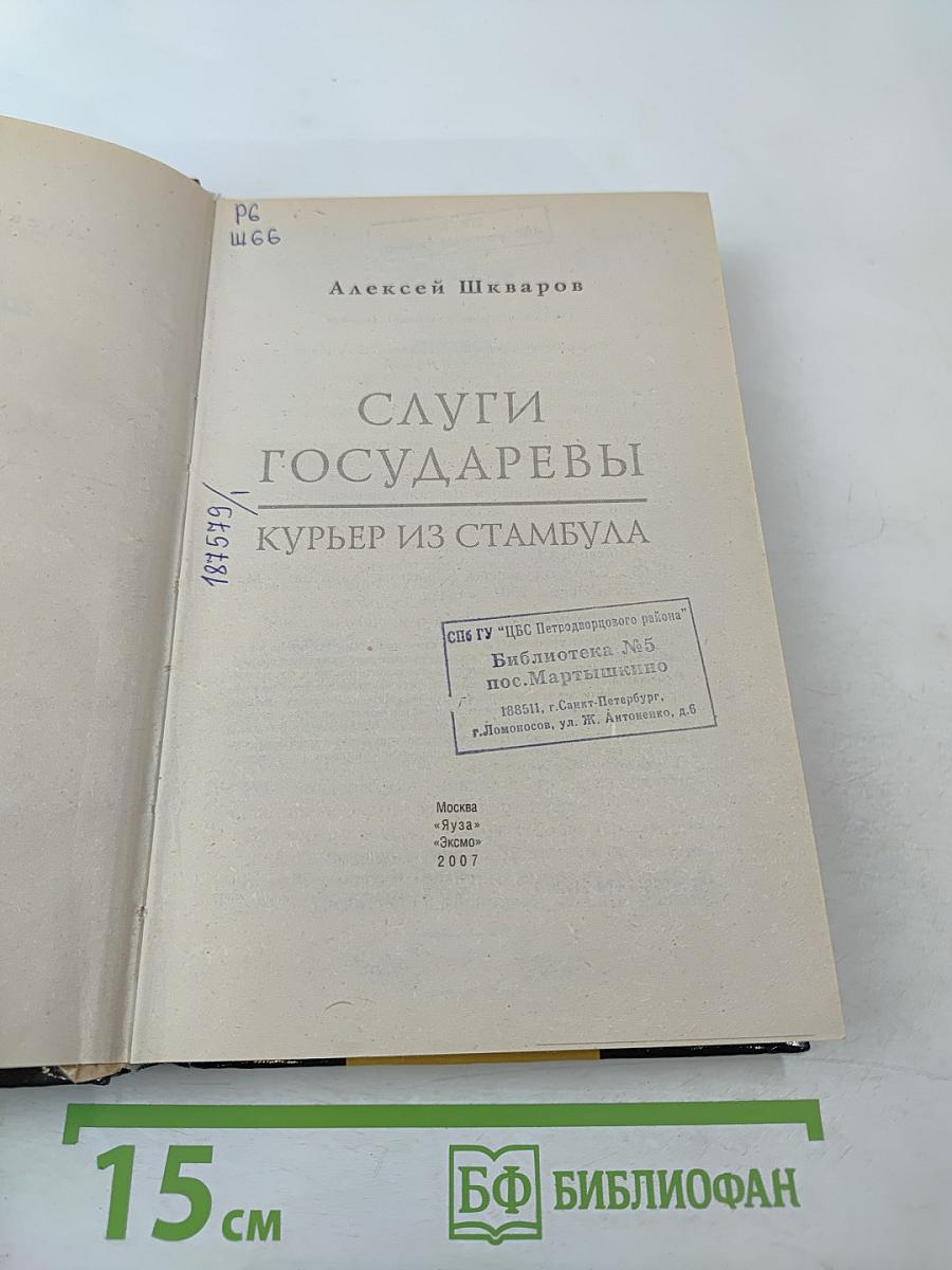 Слуги государевы. Курьер из Стамбула