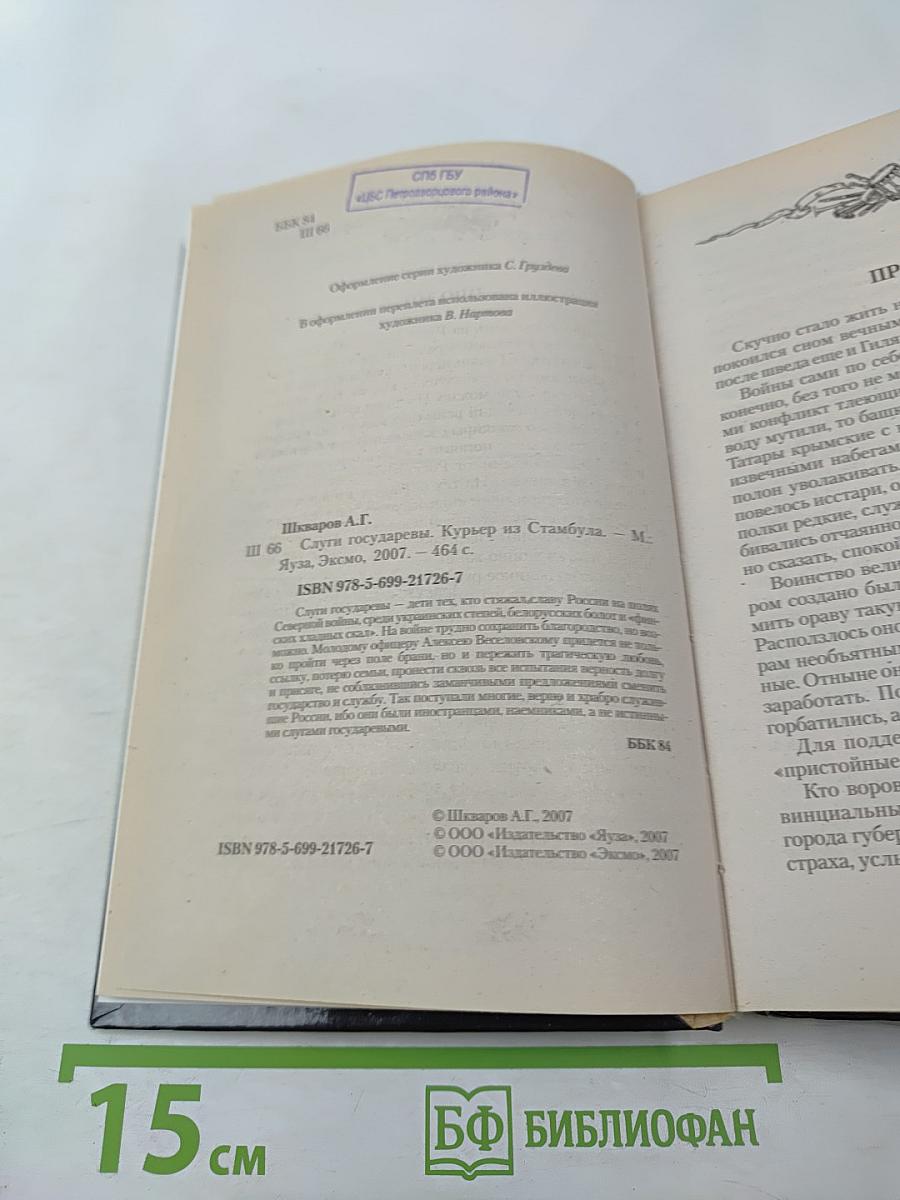 Слуги государевы. Курьер из Стамбула