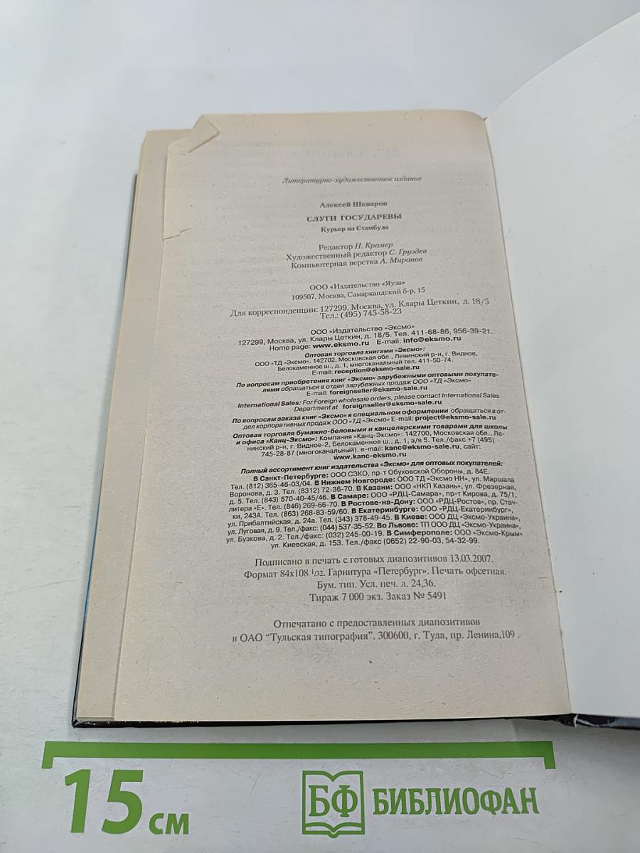Слуги государевы. Курьер из Стамбула