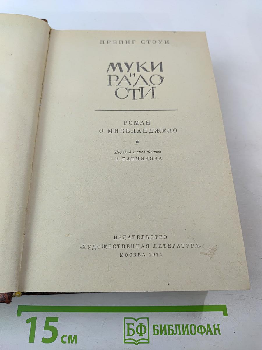 Муки и радости. Роман о Микеланджело