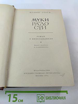 Муки и радости. Роман о Микеланджело