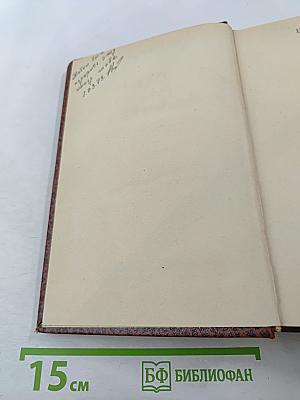 Муки и радости. Роман о Микеланджело