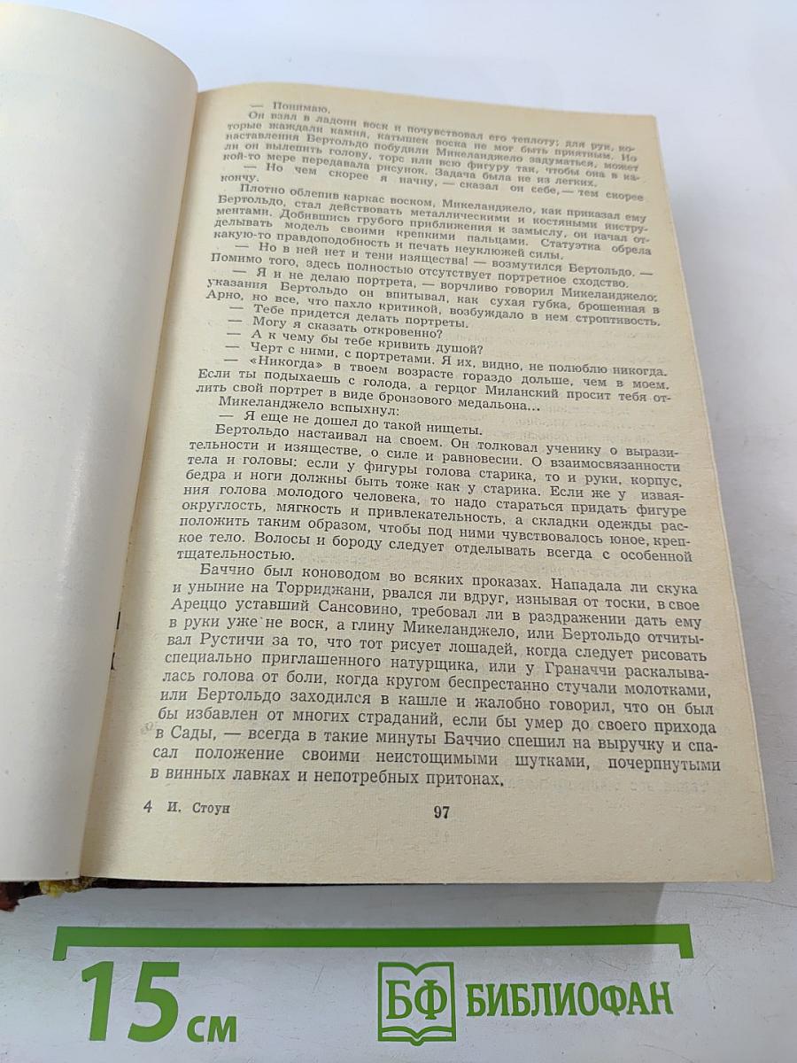 Муки и радости. Роман о Микеланджело