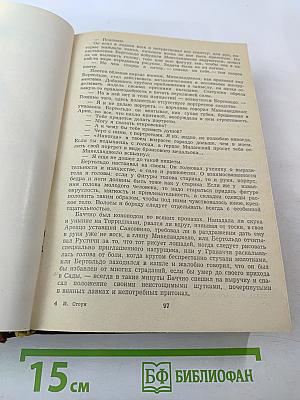 Муки и радости. Роман о Микеланджело