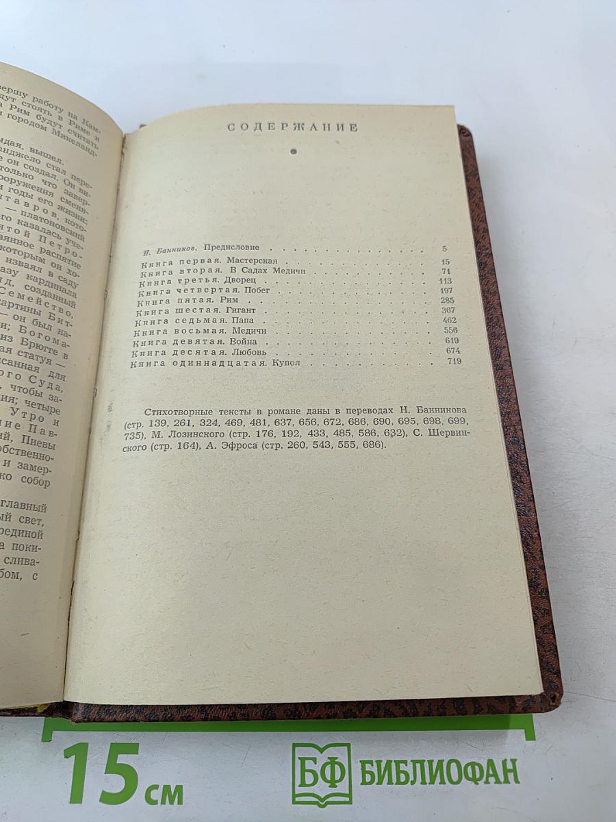 Муки и радости. Роман о Микеланджело