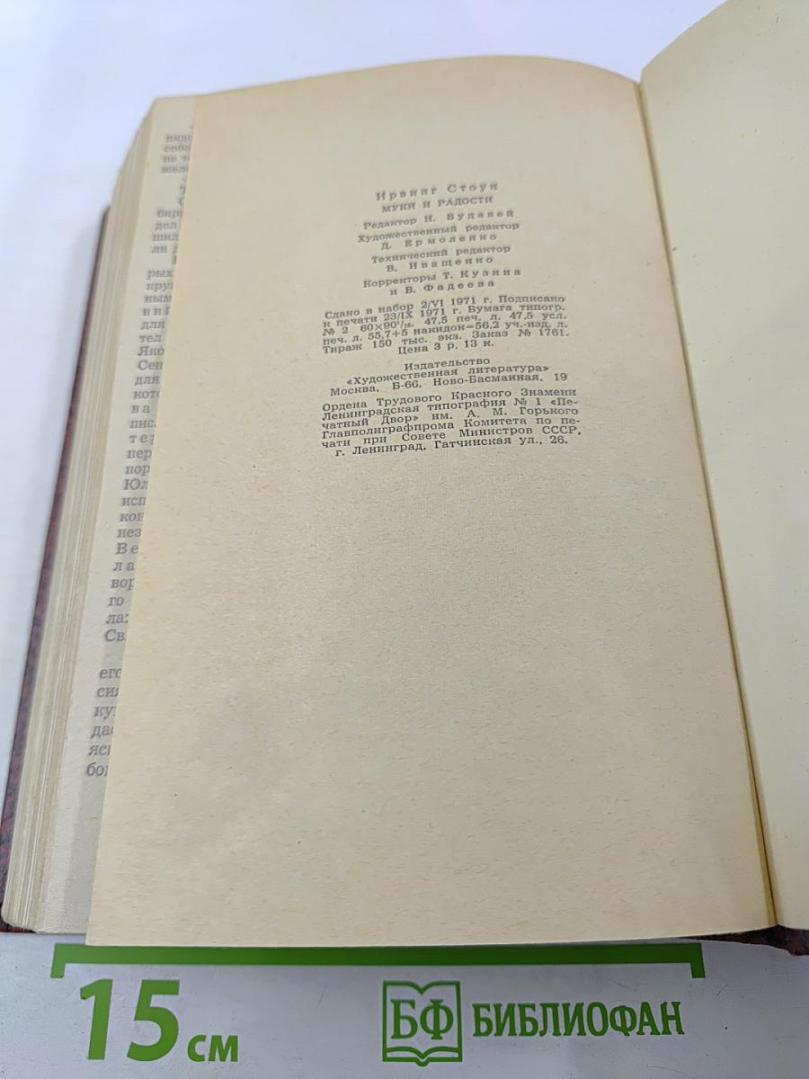 Муки и радости. Роман о Микеланджело