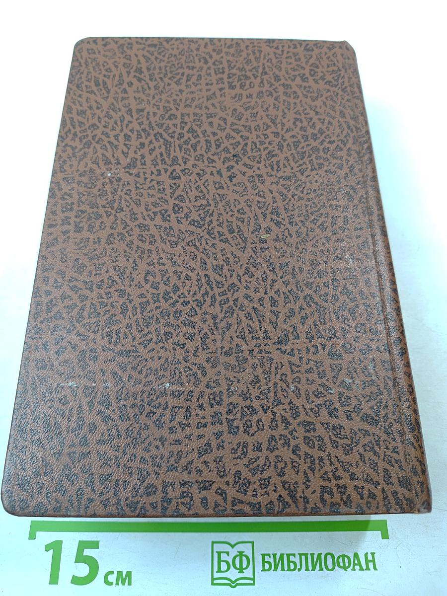 Муки и радости. Роман о Микеланджело