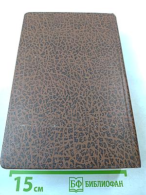 Муки и радости. Роман о Микеланджело