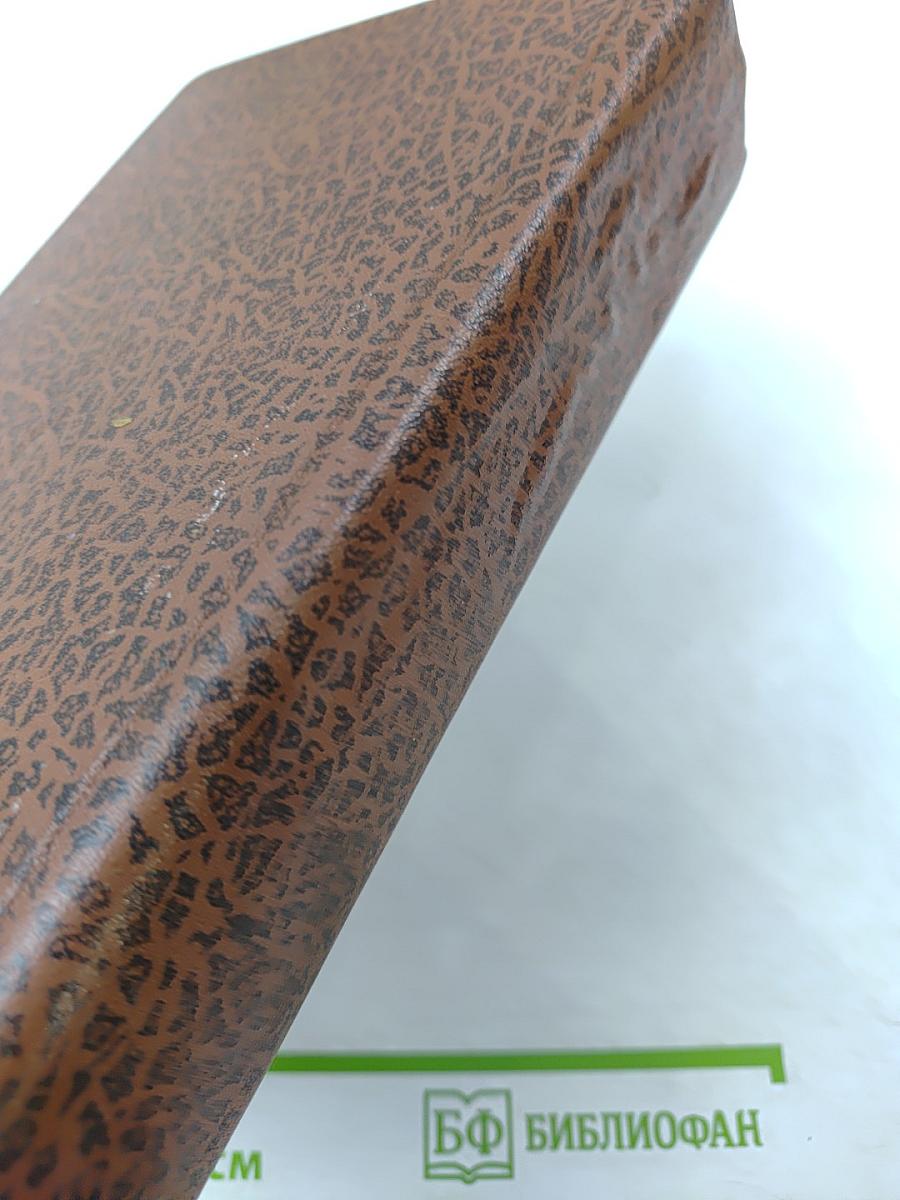 Муки и радости. Роман о Микеланджело