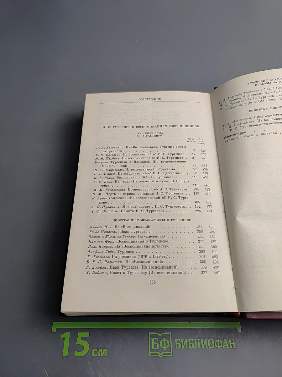 И. С. Тургенев в воспоминаниях современников. Том второй