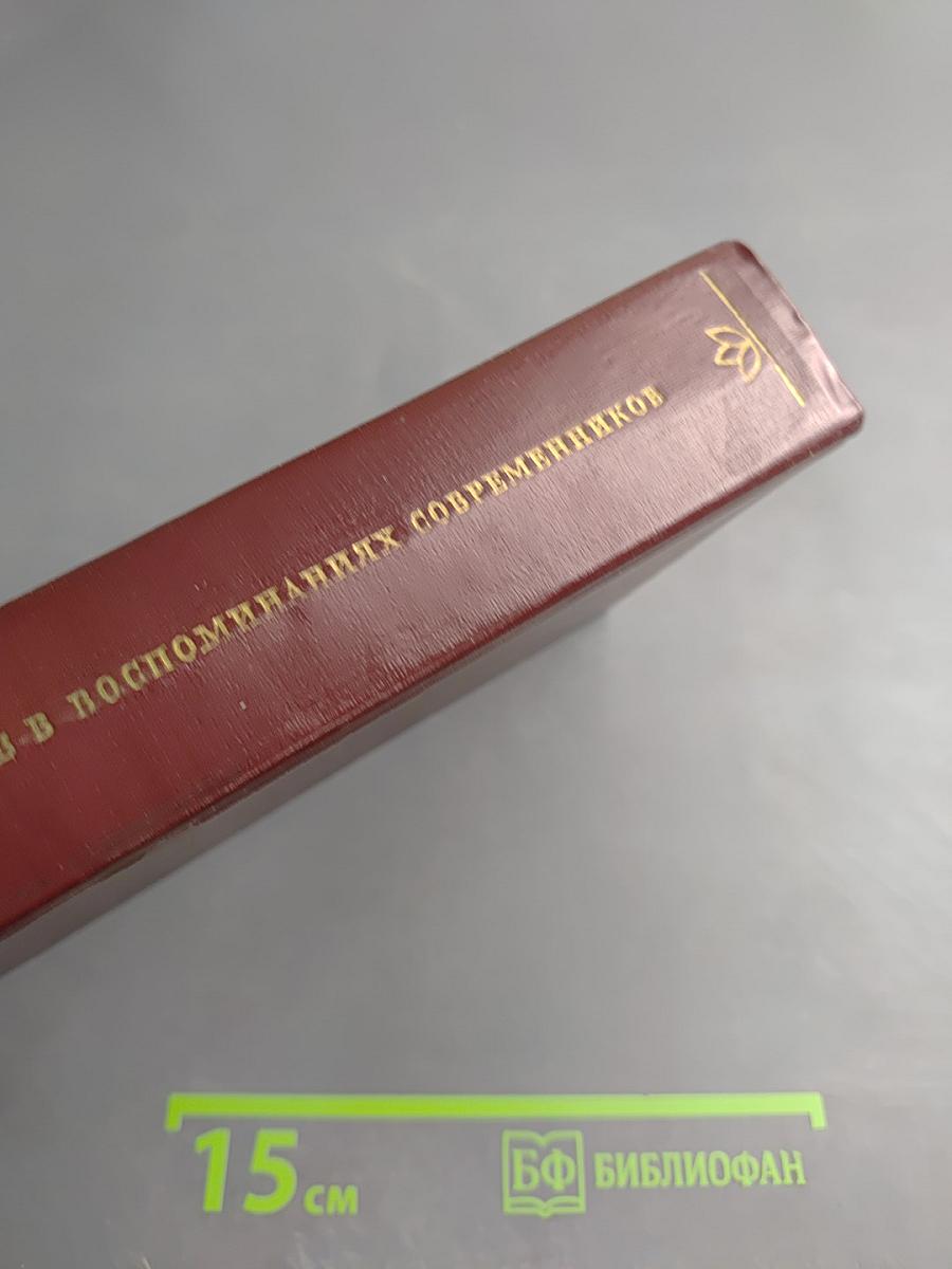 И. С. Тургенев в воспоминаниях современников. Том второй