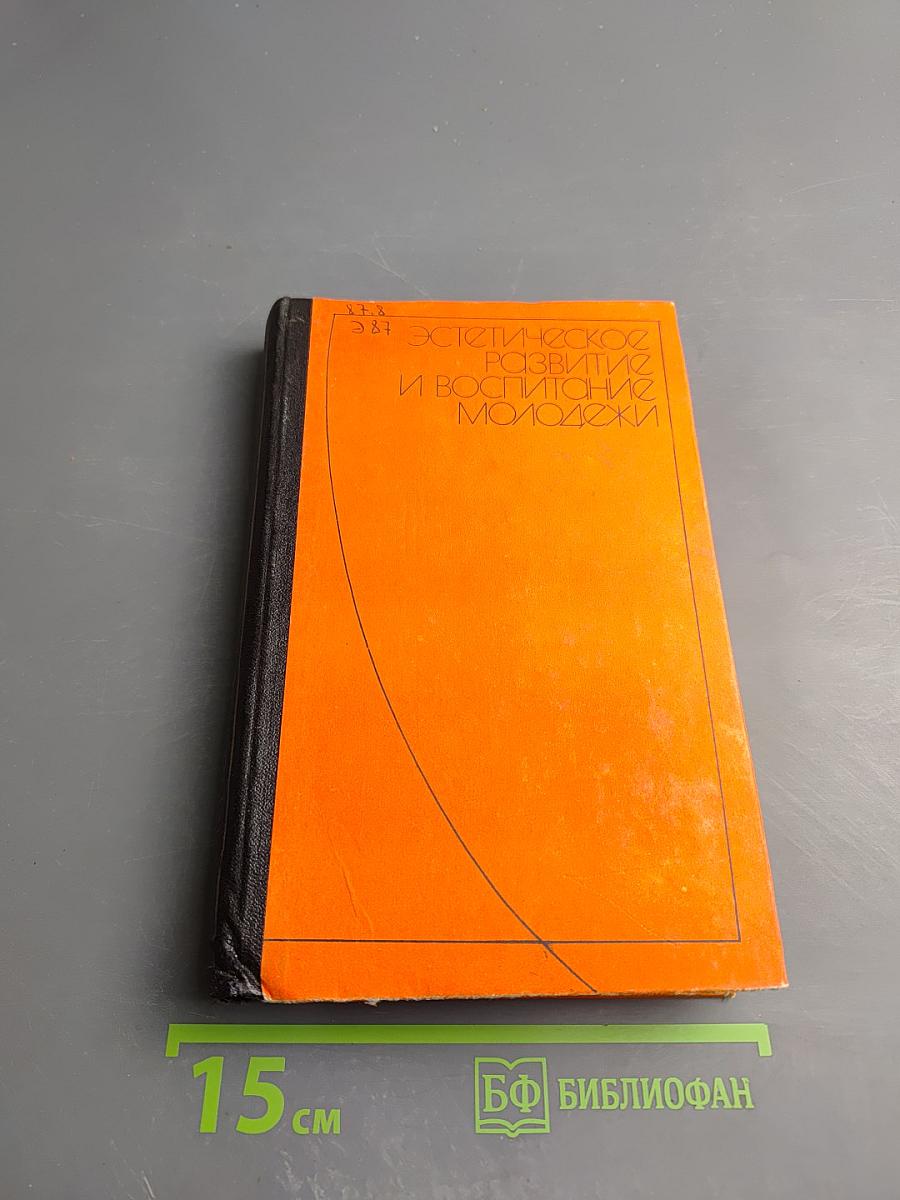 Эстетическое развитие и воспитание молодежи