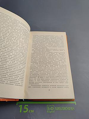 Эстетическое развитие и воспитание молодежи