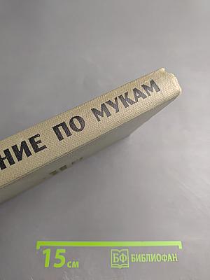 Хождение по мукам. Трилогия. Том второй. Книга третья: Хмурое утро