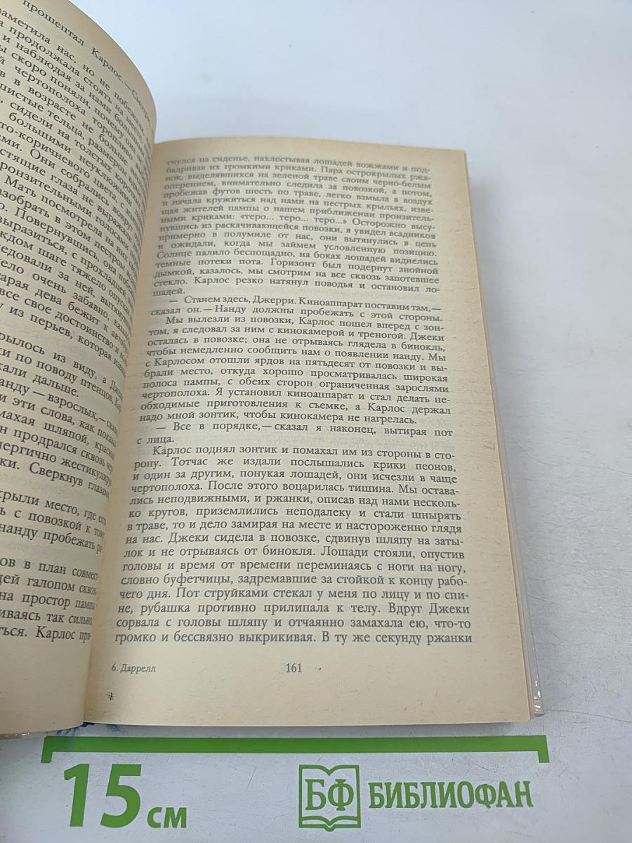 Под пологом пьяного леса