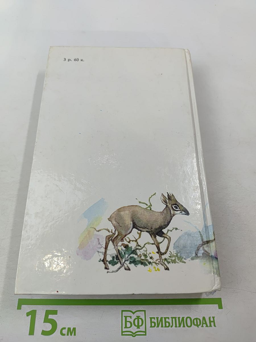 Под пологом пьяного леса