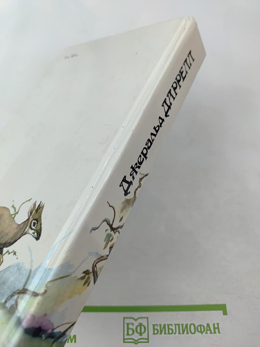 Под пологом пьяного леса