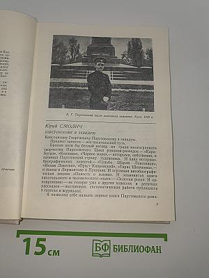 Воспоминания о Константине Паустовском