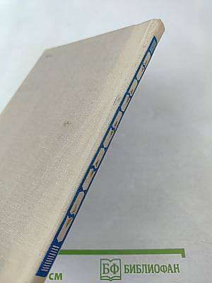 Ищи на диком берегу