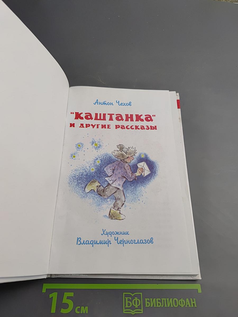 Каштанка и другие рассказы