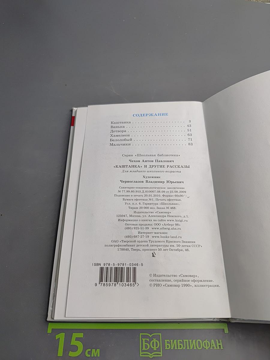 Каштанка и другие рассказы