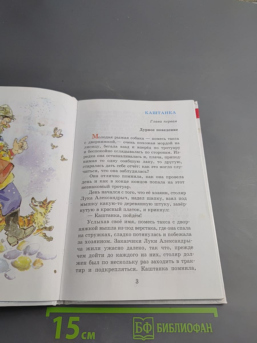 Каштанка и другие рассказы