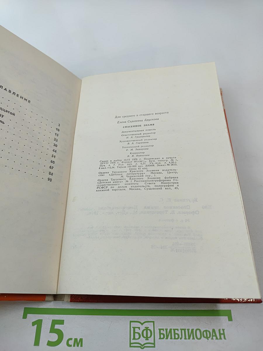 Спасенное знамя