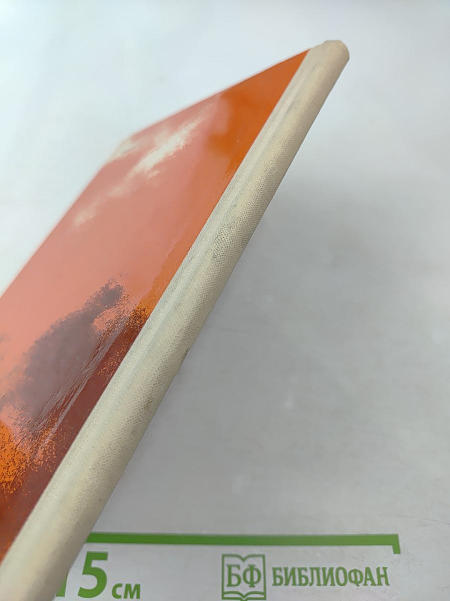 Спасенное знамя