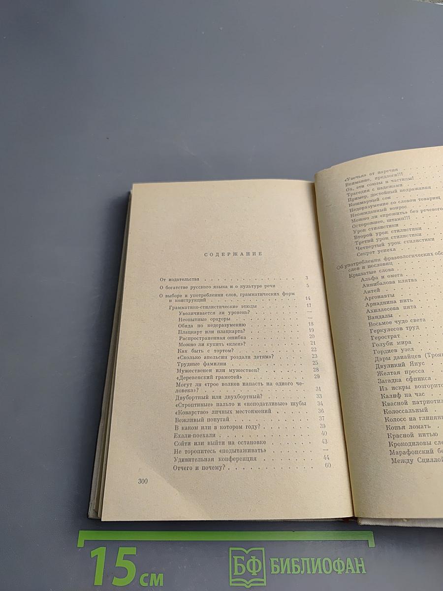 Говорите правильно. Эстетика речи