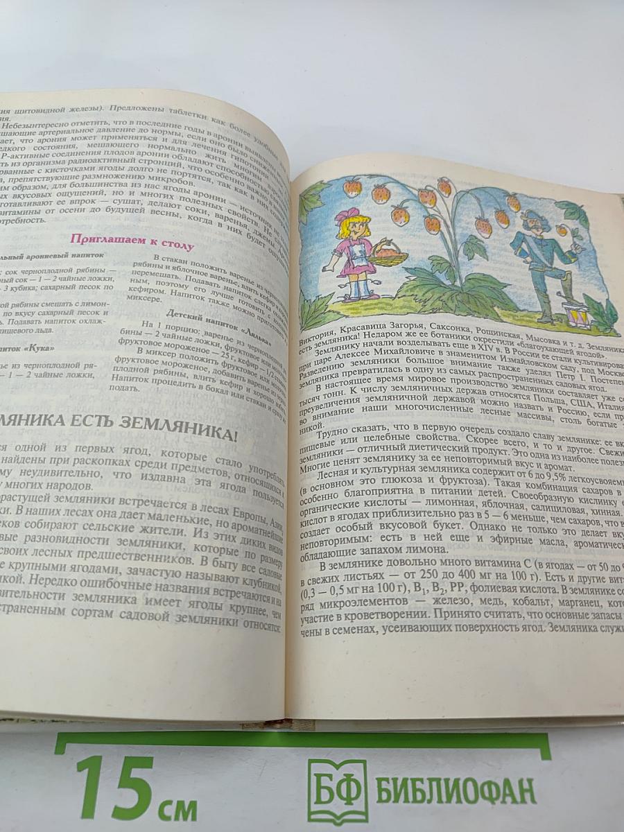 Овощи + Фрукты + Ягоды = Здоровье: Беседы врача-педиатра о питании детей. Книга для родителей