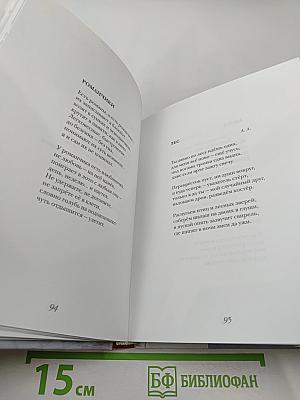 Между Метие