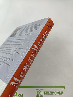 Между Метие