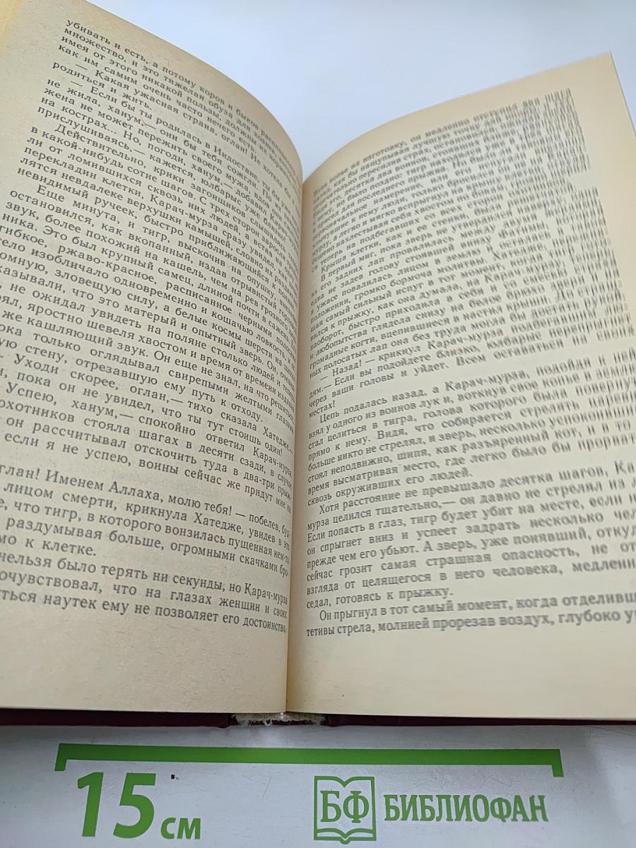 Железный Хромец