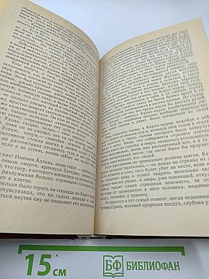 Железный Хромец