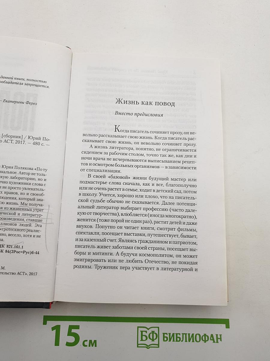 По ту сторону вдохновения