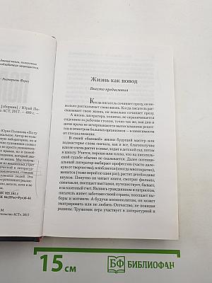По ту сторону вдохновения